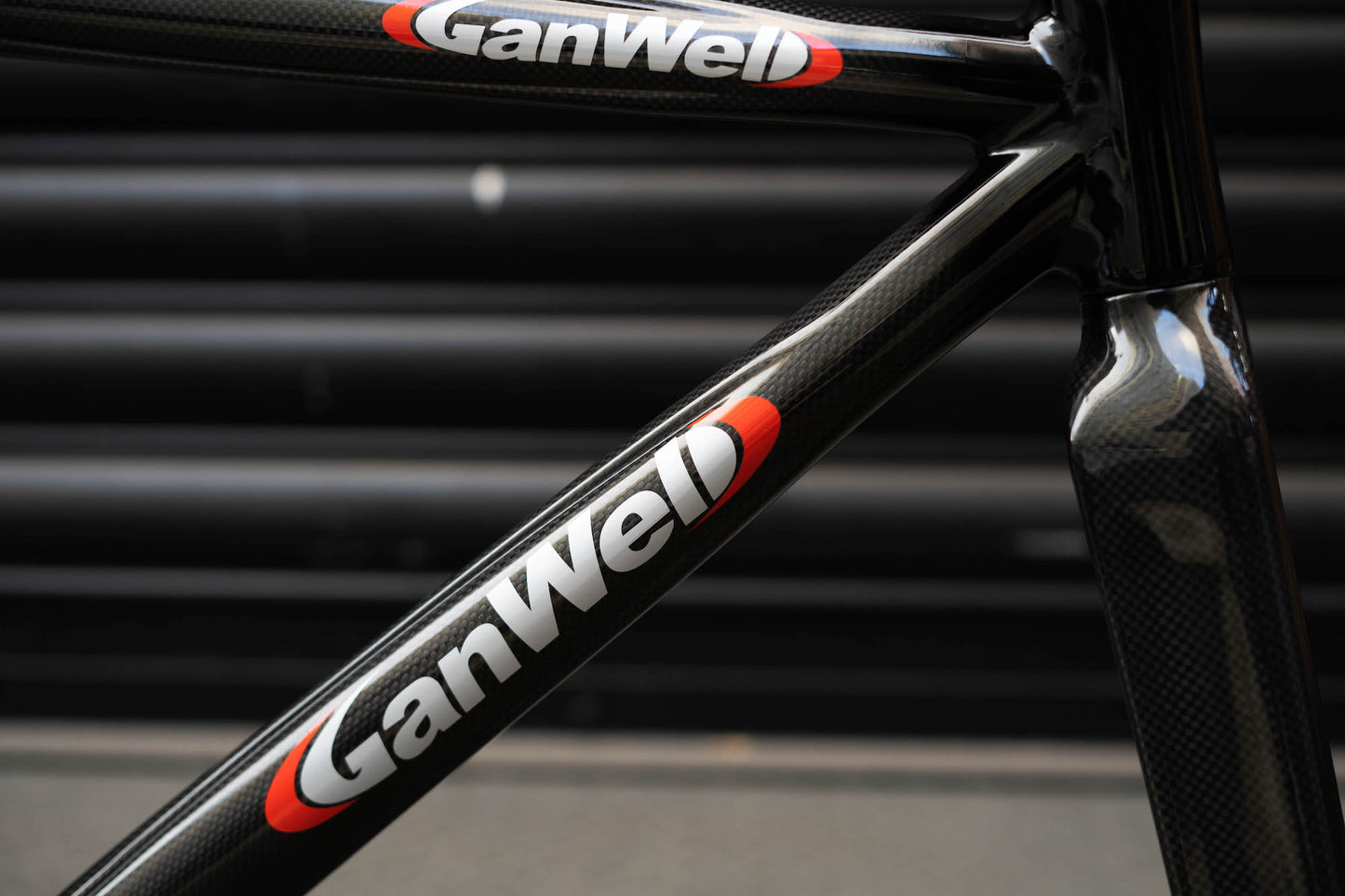 Gan Well Pro Evasion Carbon Pista Frameset