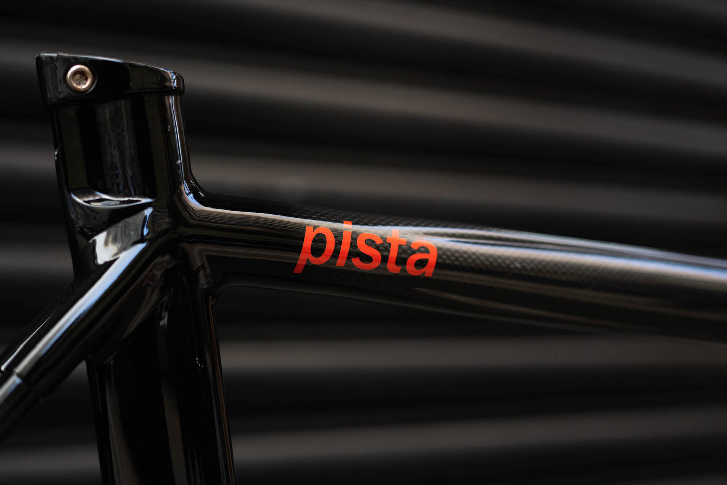Gan Well Pro Evasion Carbon Pista Frameset
