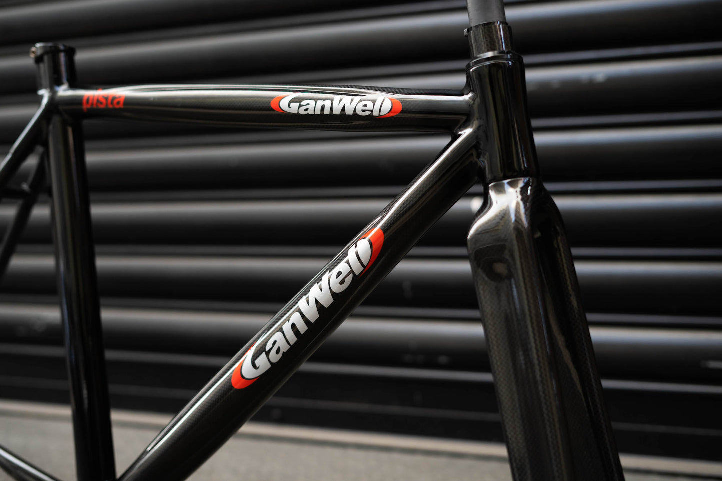 Gan Well Pro Evasion Carbon Pista Frameset