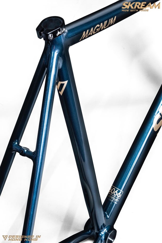 Skream Magnum20 Turquoise/Champagne Frameset