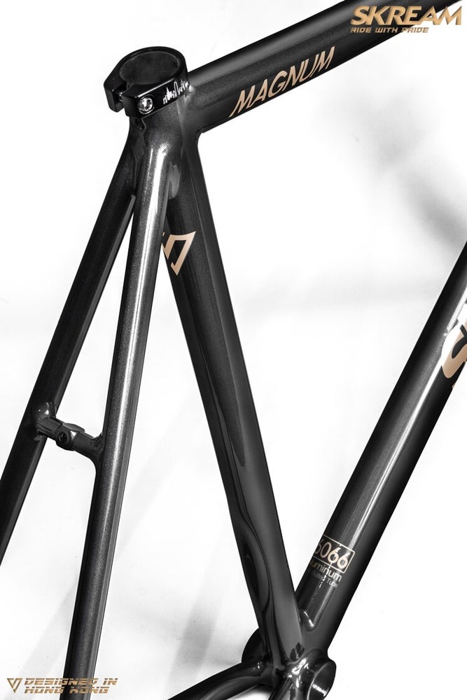 Skream Magnum20 Black/Champagne Frameset