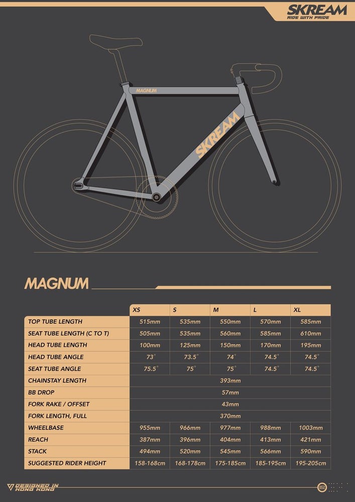Skream Magnum20 Turquoise/Champagne Frameset